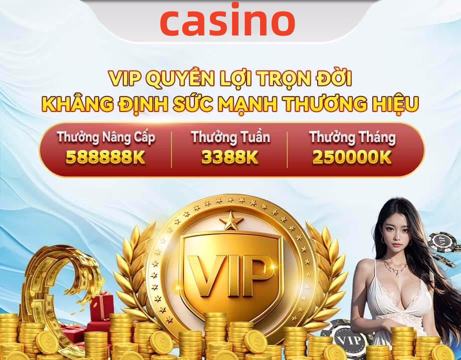 qqlive