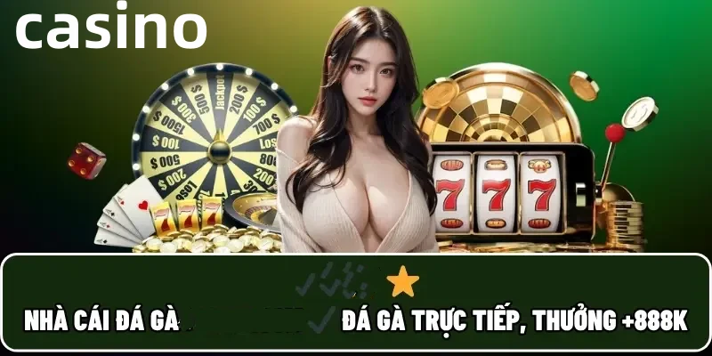 qqlive