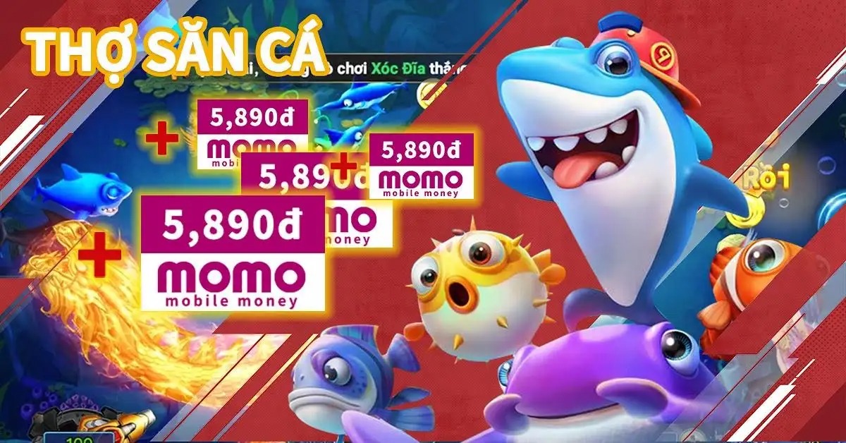 qqlive